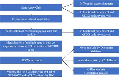FBXW4 Acts as a Protector of FOLFOX-Based Chemotherapy in Metastatic Colorectal Cancer Identified by Co-Expression Network Analysis